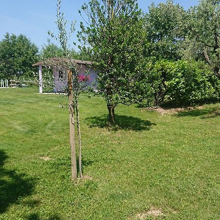 Apartamento Il Carpino Bianco Bilocale Puegnago sul Garda Habitación foto